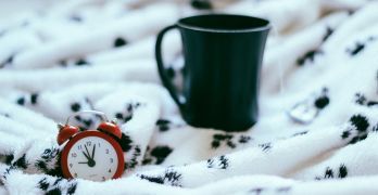 camila damasio 91785 unsplash