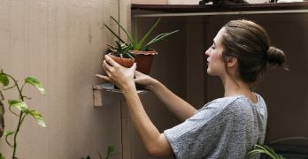 growthese8plantsfornaturalanxietyrelief 960x540