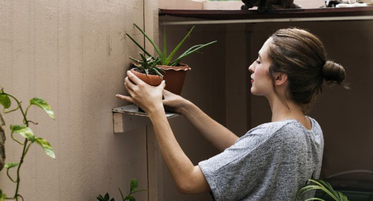 growthese8plantsfornaturalanxietyrelief 960x540