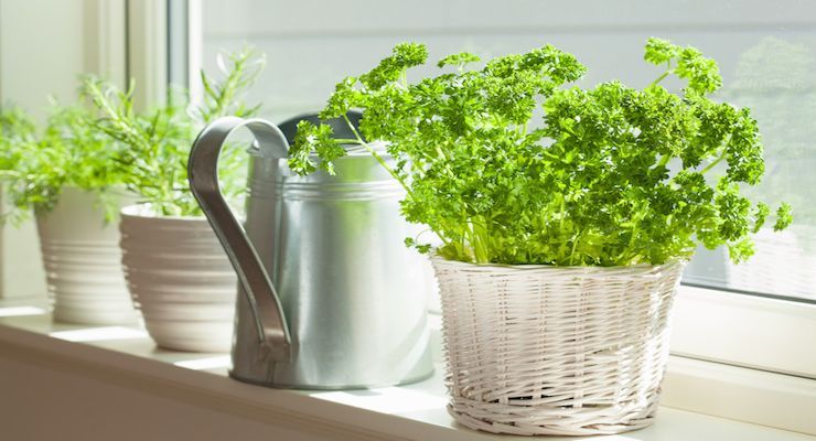 Fotolia 166570086 Subscription Monthly M