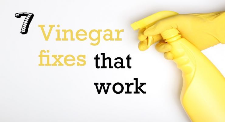 Fotolia 216532318 Subscription Monthly M Fotor