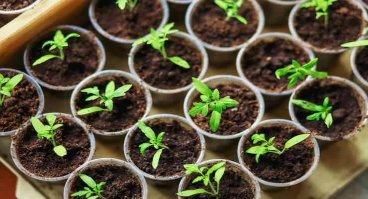 Fotolia 108291822 Subscription Monthly M