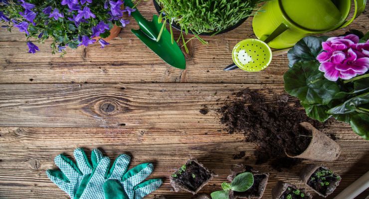 Fotolia 83526244 Subscription Monthly M 1