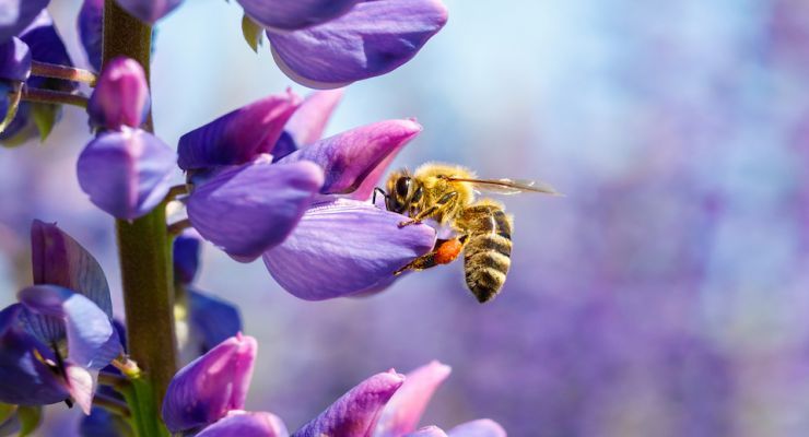 Fotolia 206877987 Subscription Monthly M 1