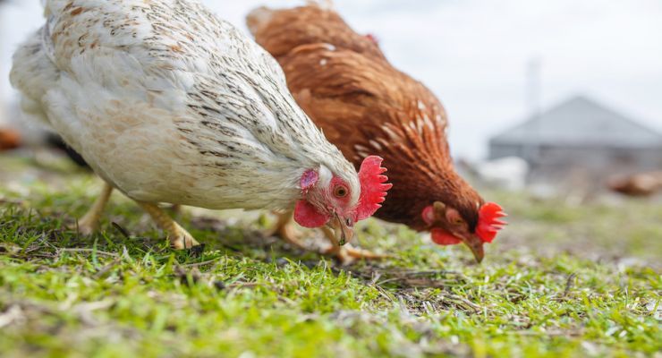 Fotolia 246680822 Subscription Monthly M 1