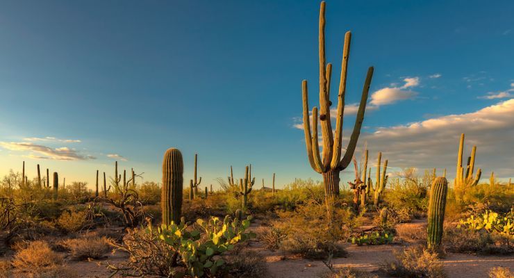 Fotolia 192808390 Subscription Monthly M