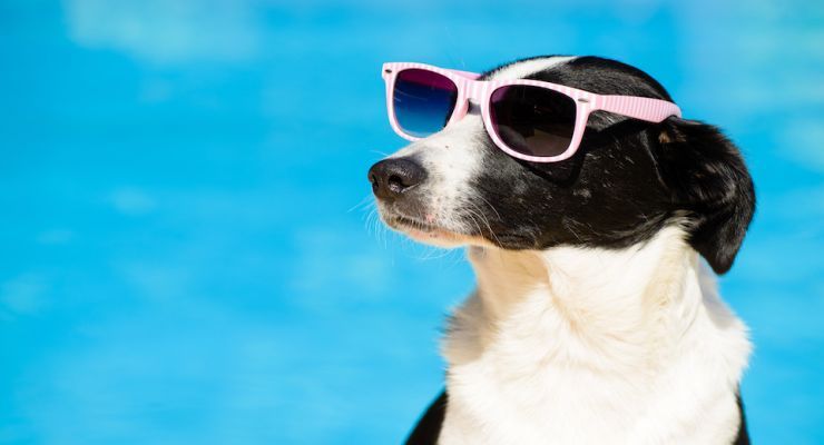 Fotolia 87019275 Subscription Monthly M 1