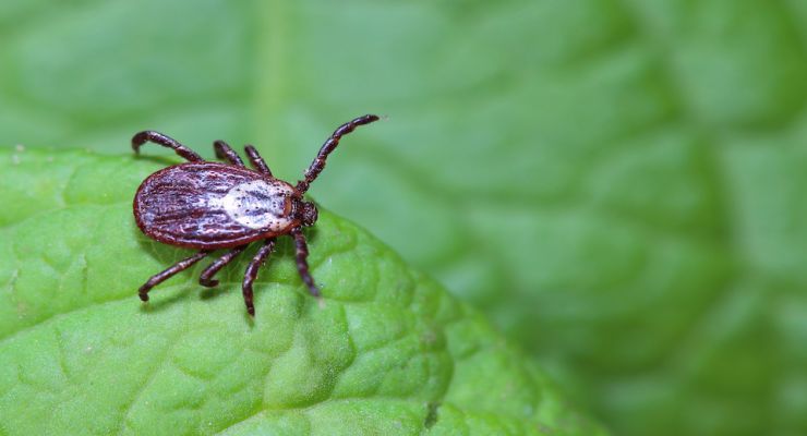 AdobeStock 64360222 1