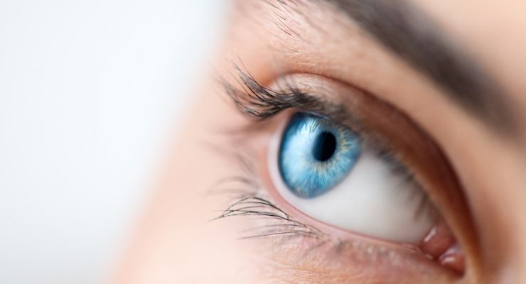 AdobeStock 289833291 2