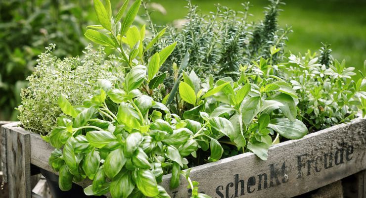 AdobeStock 244969944