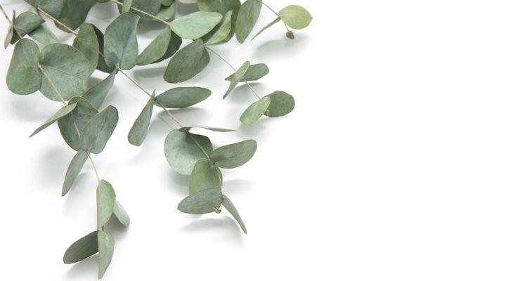 AdobeStock 301174556